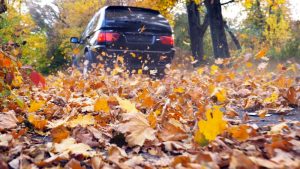 safe driving in the fall