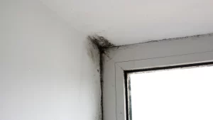 Attorneys for Asbestos Toxicity Lawsuits in Providence